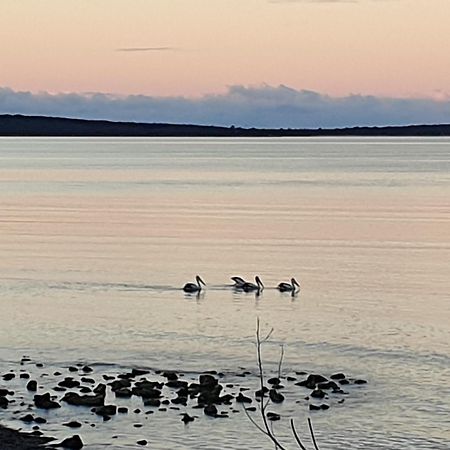 Port Lincoln Caravan Park North Shields 외부 사진