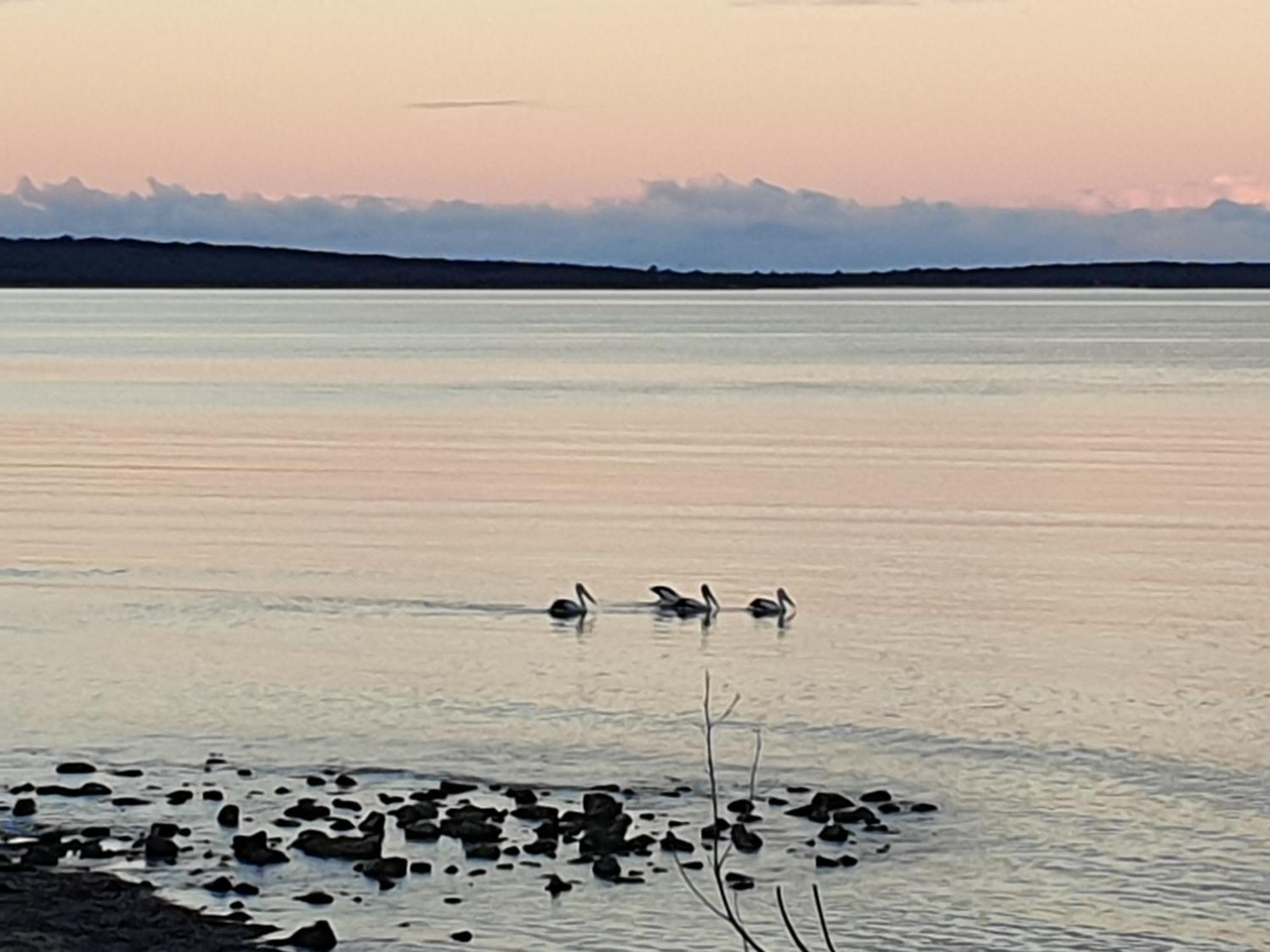 Port Lincoln Caravan Park North Shields 외부 사진