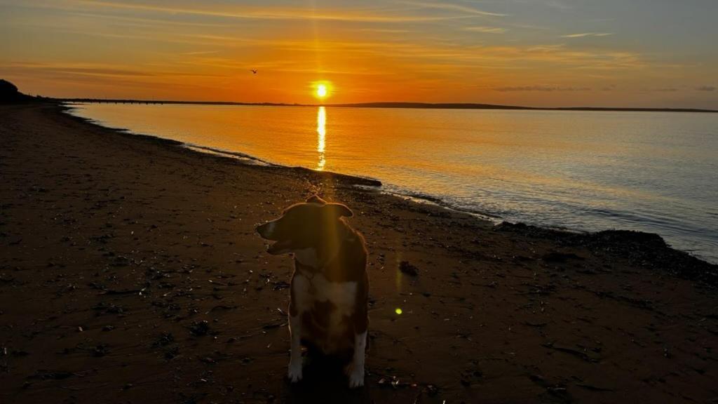 Port Lincoln Caravan Park North Shields 외부 사진